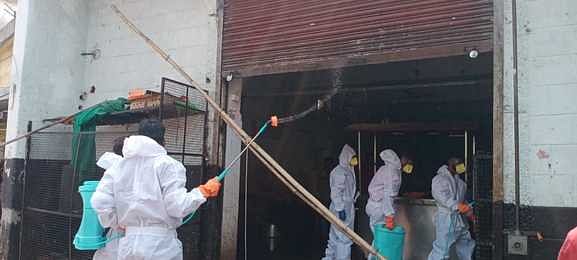 Bird flu hits Chhindwara Chicken and mutton market in fear people wearing PPE kits rushed to take samples