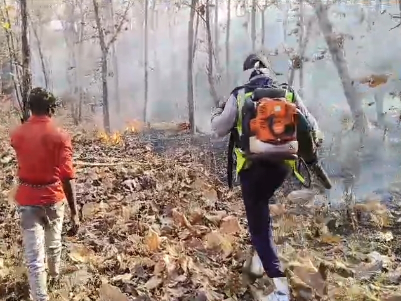 नावरा रेंज के खंडवा बॉर्डर से लगे जंगल, सीवल और हैदरपुर में बीते दिन अज्ञात कारणों से आग लग गई।