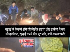 खुदाई में निकलीं सोने की मोहरें? सरपंच और ग्रामीणों ने बयां की पूरी हकीकत; खुदाई करने दौड़ा पूरा गाँव! लूटने के लिए मची अफरा-तफरी..