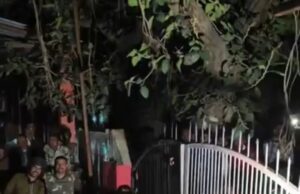 ग्राउंड रिपोर्ट: बिजावर की काली रात… जब केन-बेतवा के विस्थापितों के आंसुओं पर बरसीं ‘खाकी’ की बौछारें, सरकारी काम में रोड़ा और पथराव पड़ा भारी